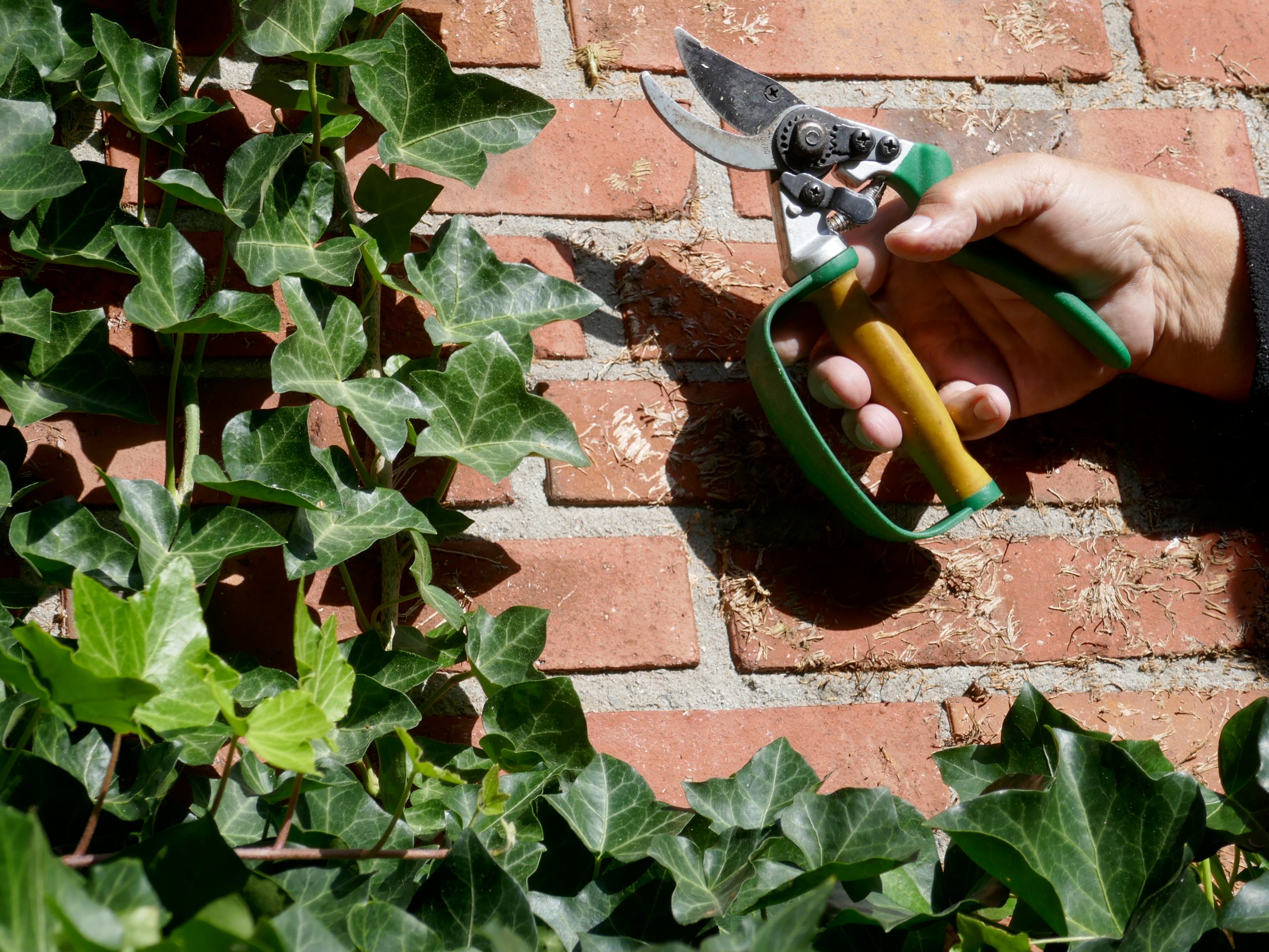 Garden Clearance Coventry